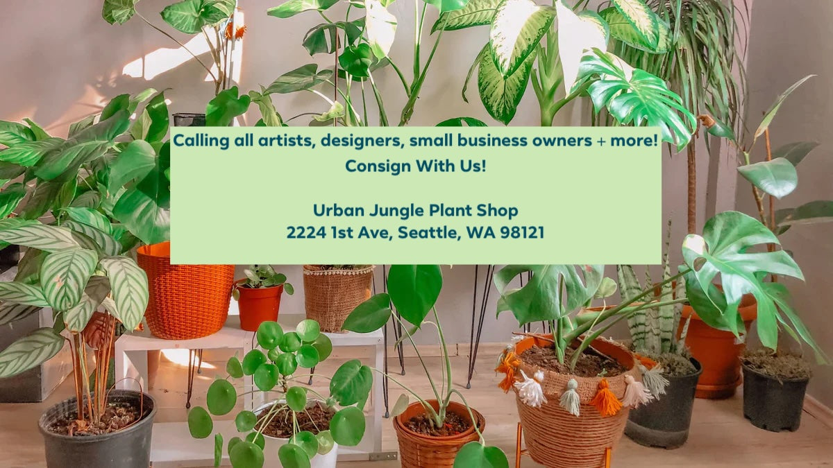 buy indoor plants seattle Urban Jungle Consignment Sign Up