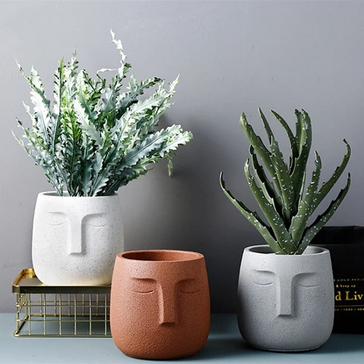 urban jungle plant pots 4.5" Face Pots – Urban Jungle