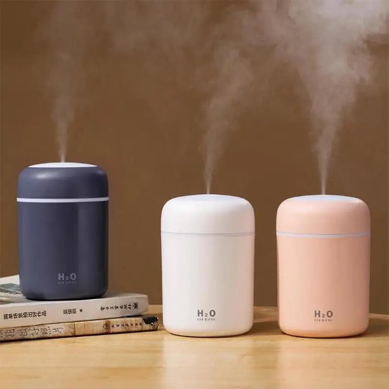 300ml Small Plant Humidifier