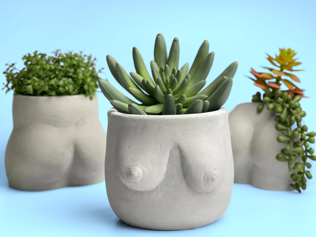 4" Boob Pots