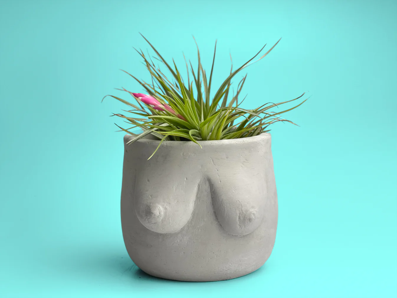 4" Boob Pots