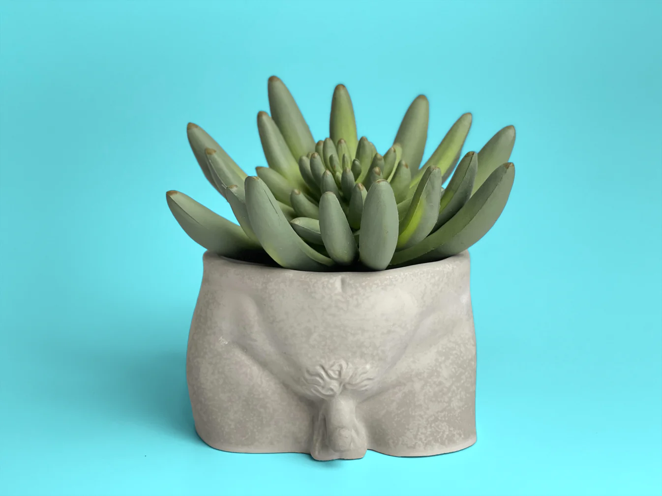 4" Butt Pots