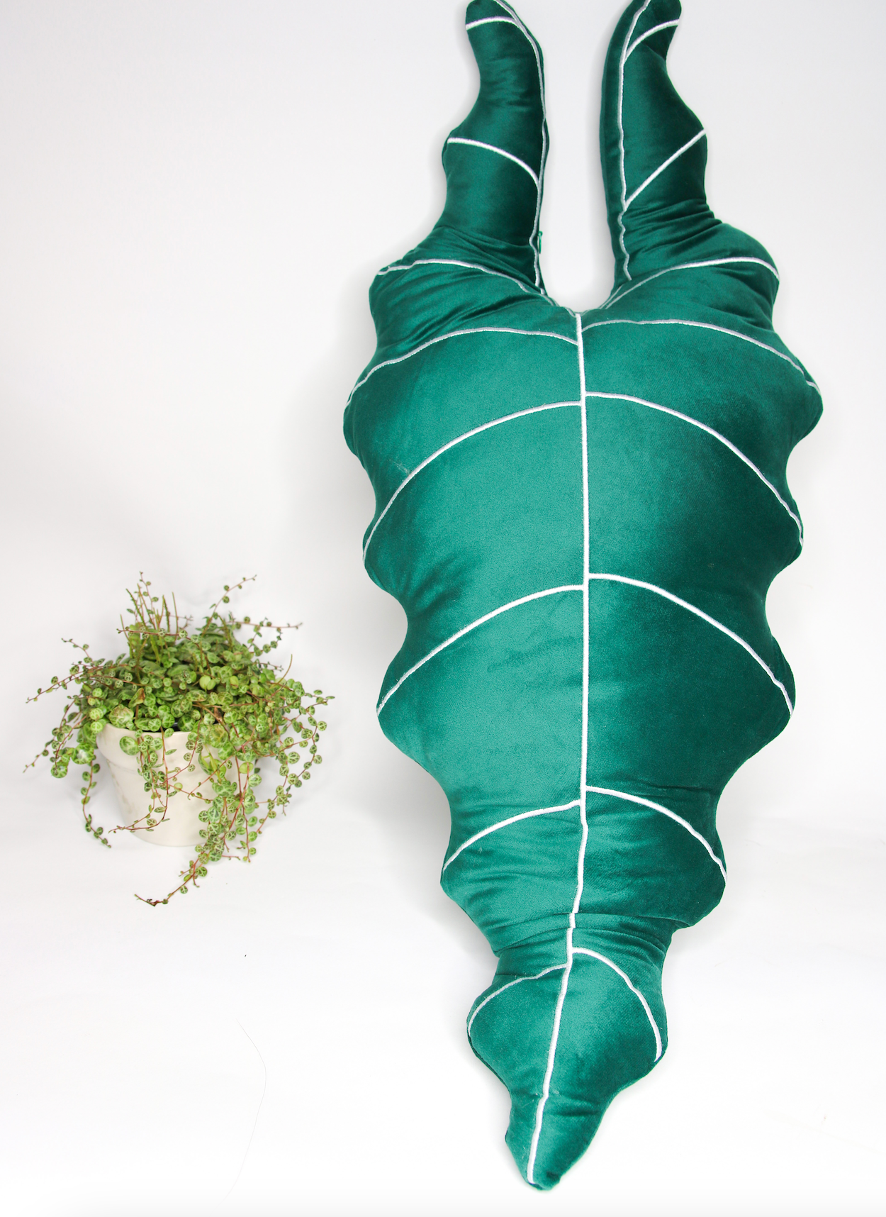 Alocasia Plant Shaped Pillow