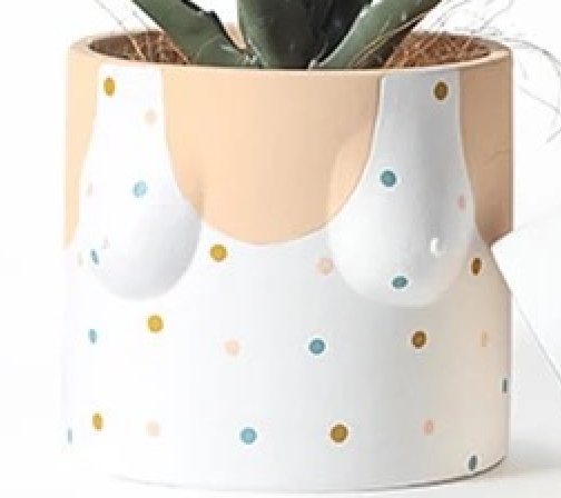 Hand Painted Boob Pots with Drainage Hole