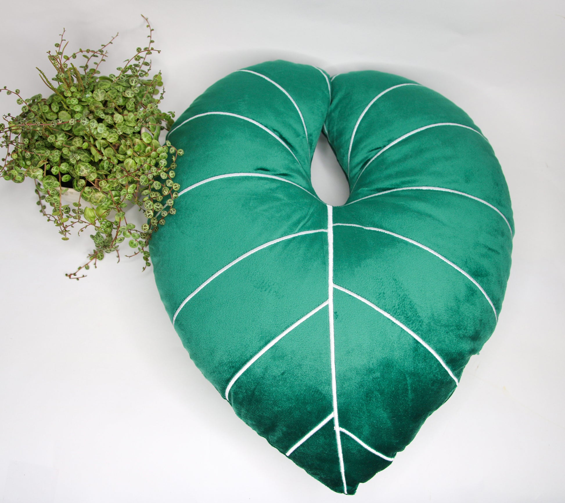 urban jungle philodendron Philodendron Gloriosum Pillow – Urban Jungle
