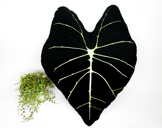 Black Colocasia Plant Shaped Pillow